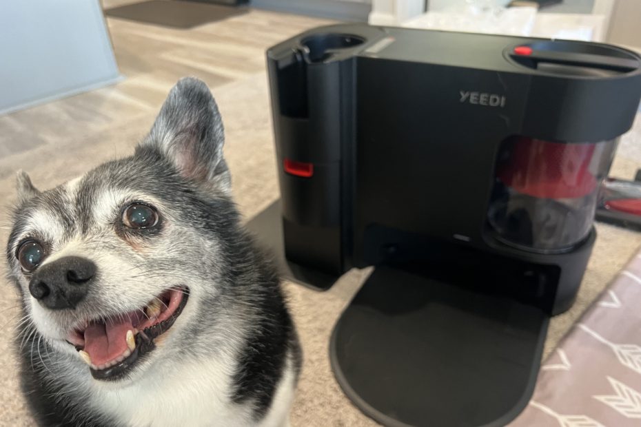 Yeedi Vs Little One